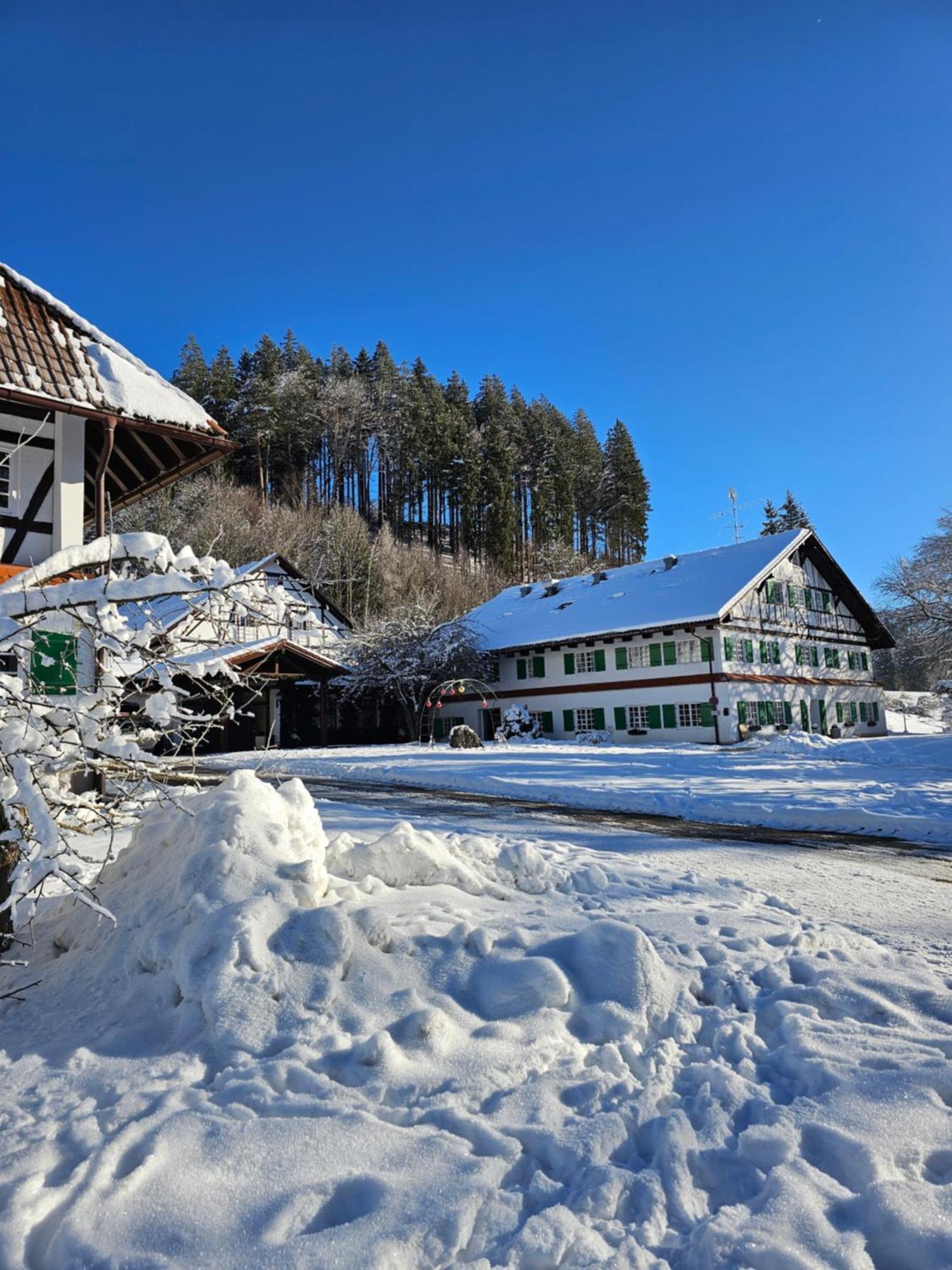 Allgaeu Residenz Natur & Spa Gmbh Wiggensbach Eksteriør billede
